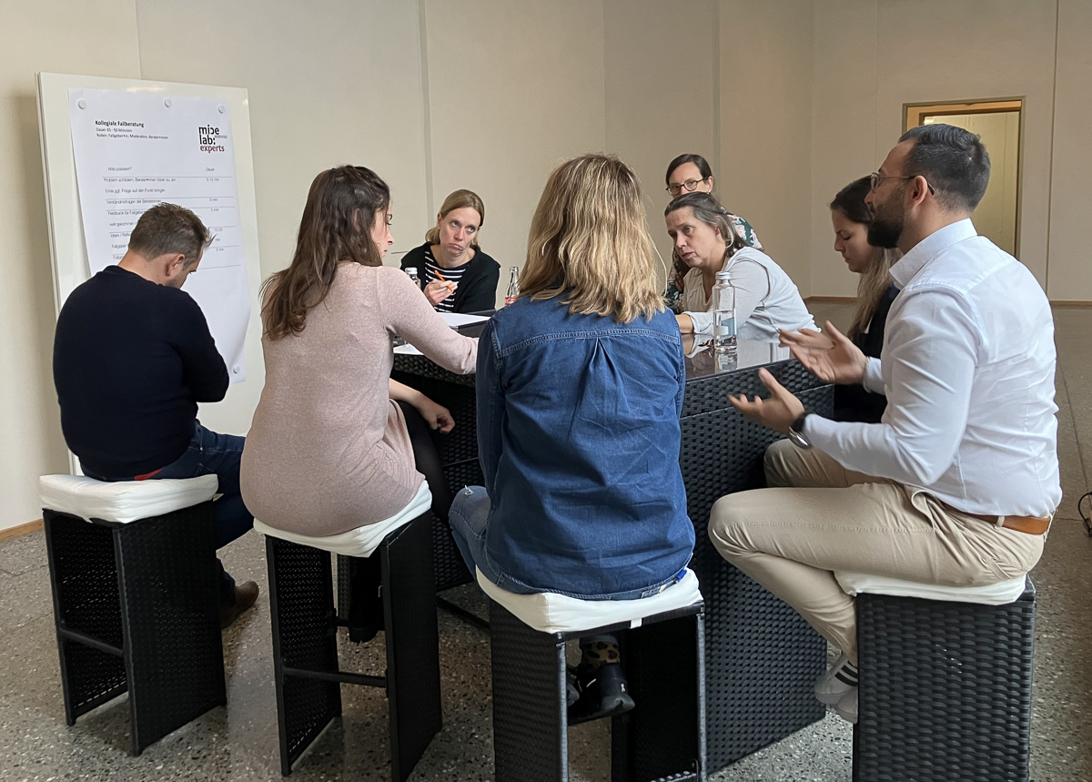micelab-experts-kollegiale-fallberatung-2-2